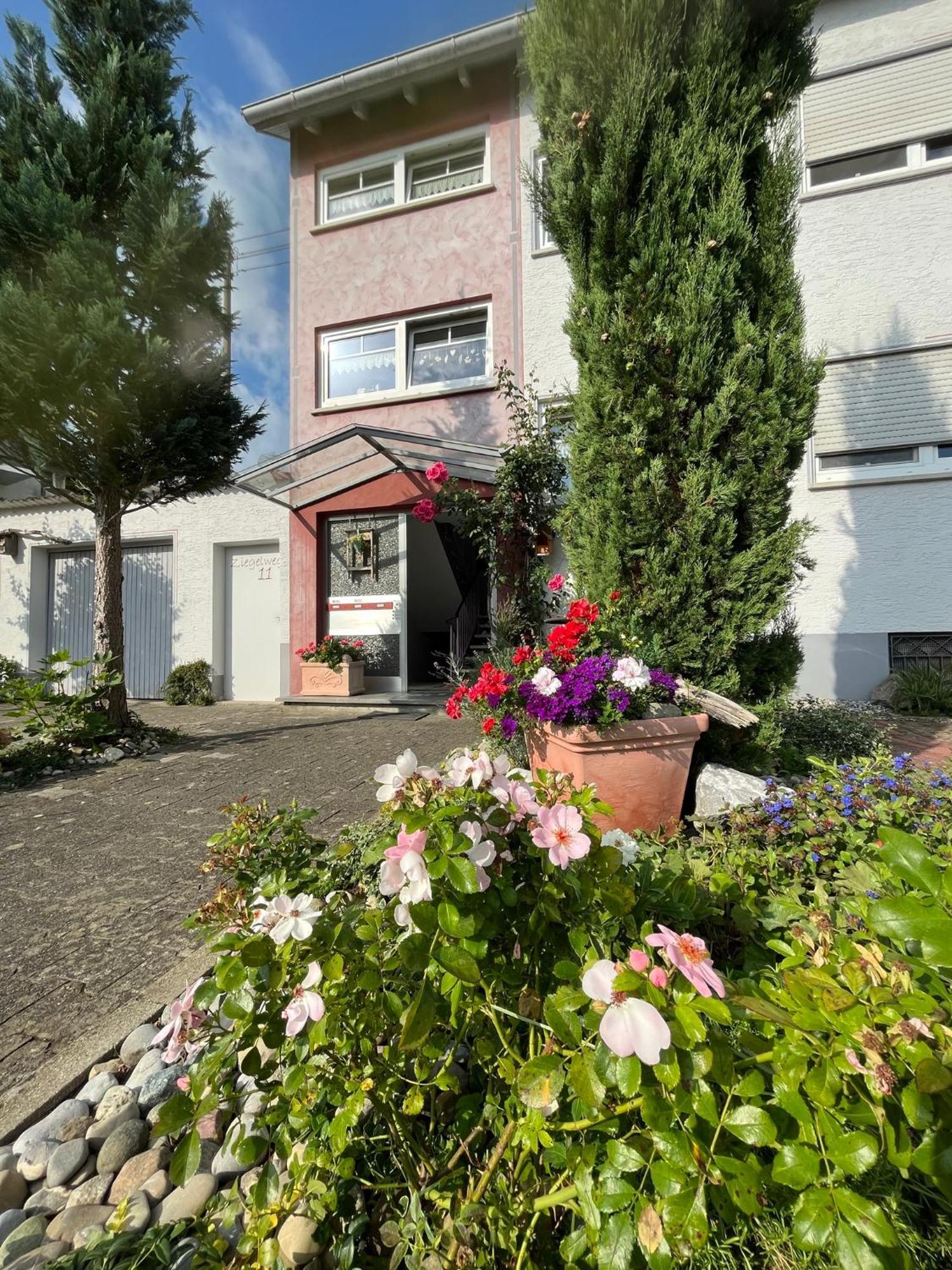 ראפנסבורג Schoene Wohnung, Bodenseenaehe מראה חיצוני תמונה